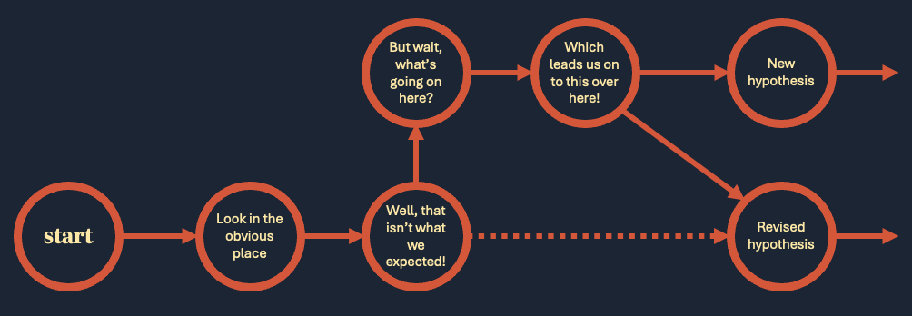 The Hypothesis Journey